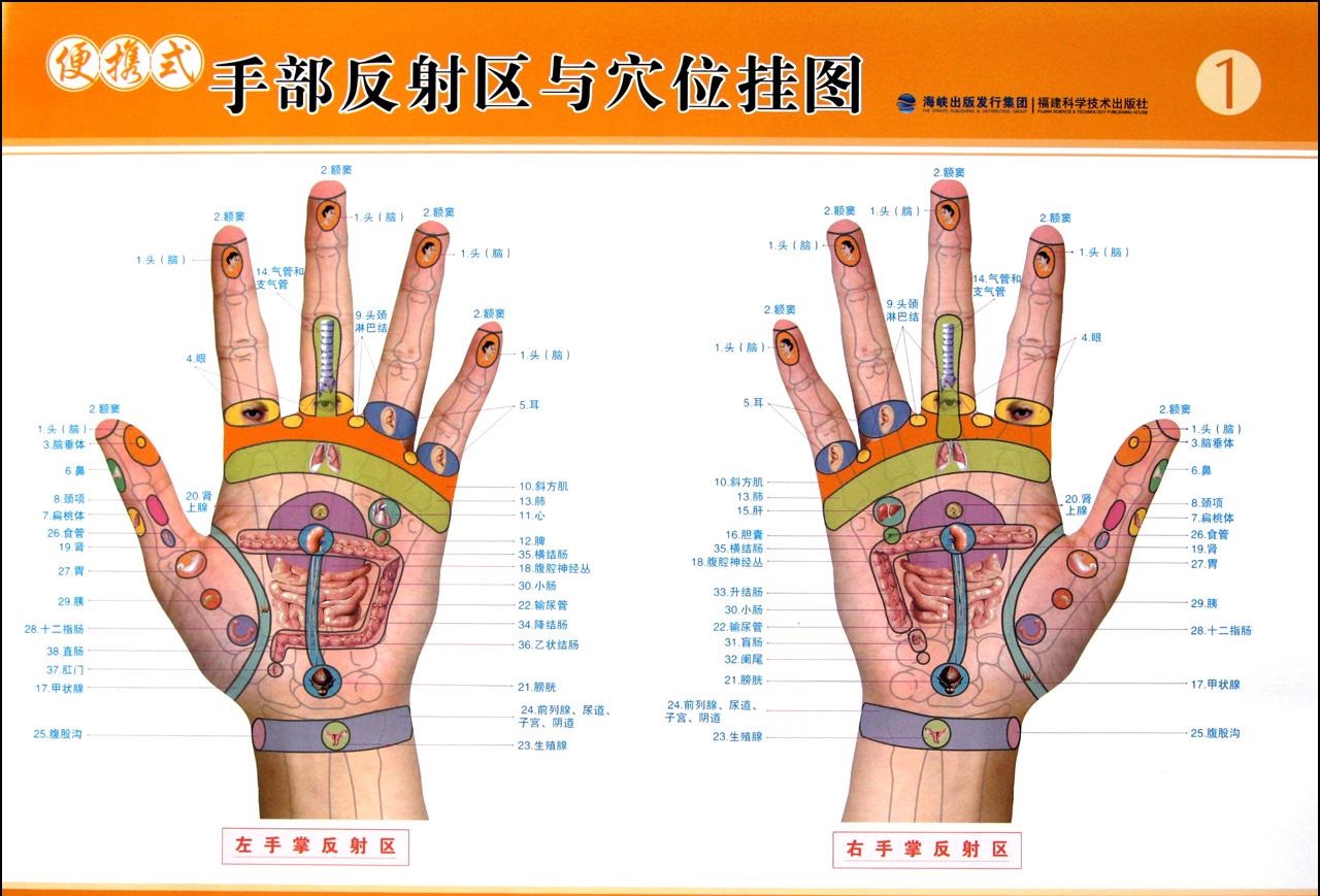 經(jīng)絡(luò)多久疏通一次好？